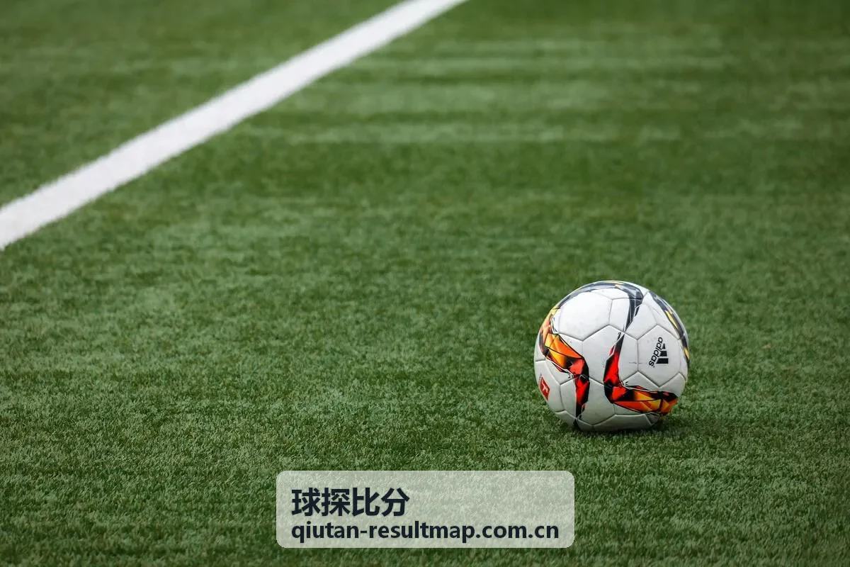 球探比分实时比赛数据与赛果分布展示